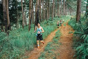 BIB: 
                            <button type="button" onclick="openModal(25681409)" class="btn btn-primary btn-sm float-right btn-popup" data-toggle="modal" data-target=".modal-high-quality">
                        <i class="fas fa-shopping-cart"></i> Add to Cart
                    </button>
                                            <button type="button" onclick="isThisMe(25681409, true)" class="btn btn-success btn-sm float-right btn-popup btn-isme hidden" data-toggle="tooltip" data-placement="bottom" title="นี่คือรูปของคุณใช่ไหม คลิกที่นี่เพื่อเอาเข้าอัลบั้ม">
                        <i class="fas fa-plus"></i> Add to album
                    </button>
                    <button type="button" onclick="isThisMe(25681409, false)" class="btn btn-warning btn-sm float-right btn-popup btn-isnotme hidden">
                        <i class="fas fa-ban"></i> Remove from album
                    </button>